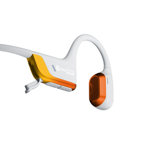 Kipchoge Co-branded Edition / Standard